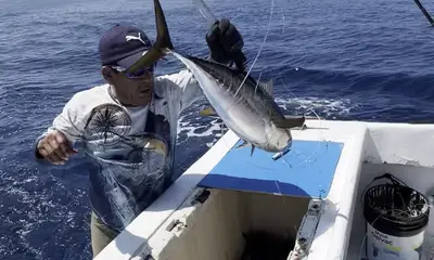 Manzanillo Report Video 2