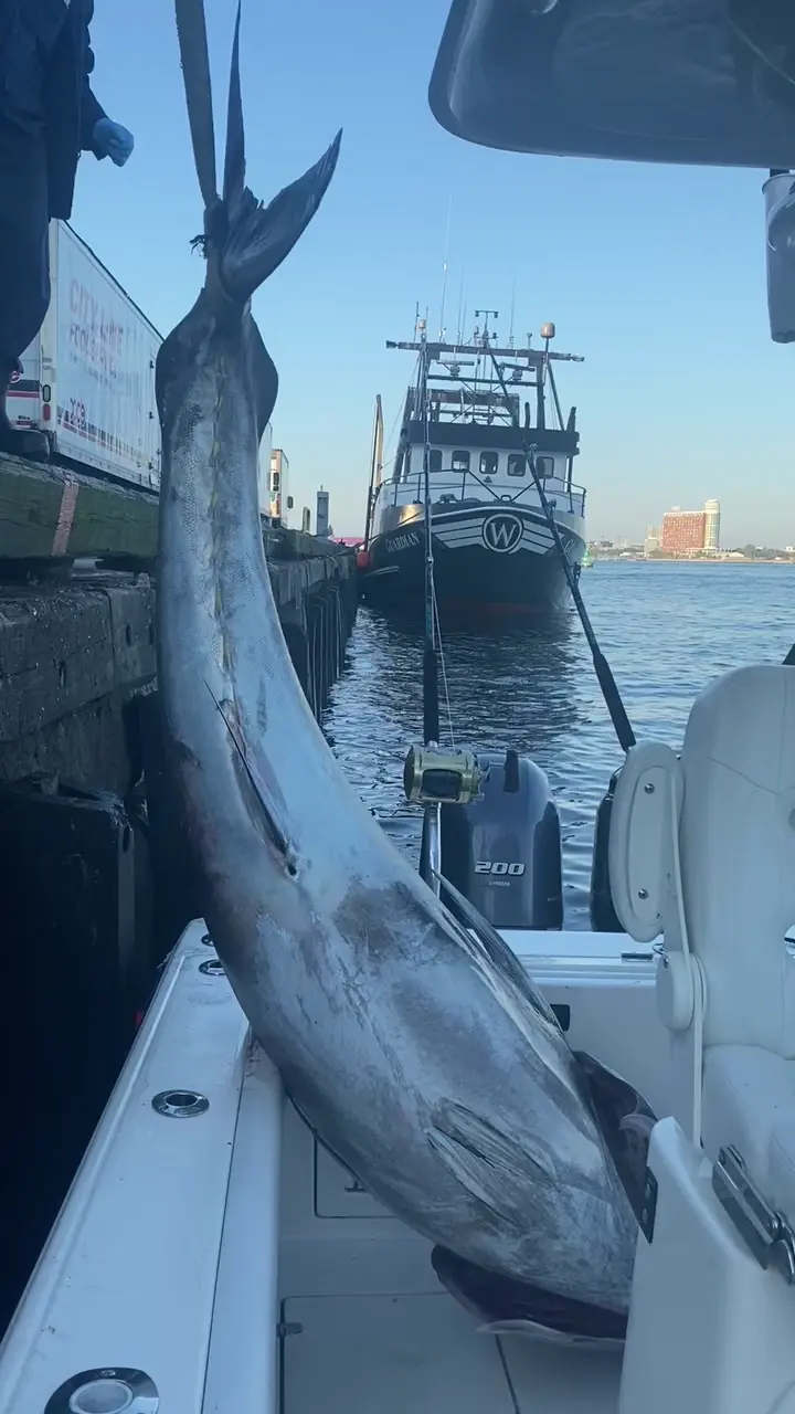 Business Card: Jimmy Rig Charters
