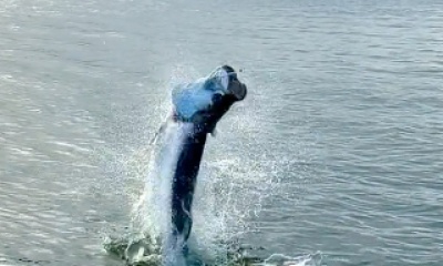 San Juan Report Video 0