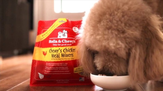 Play Video: Learn More About Stella & Chewy's From Our Team of Experts
