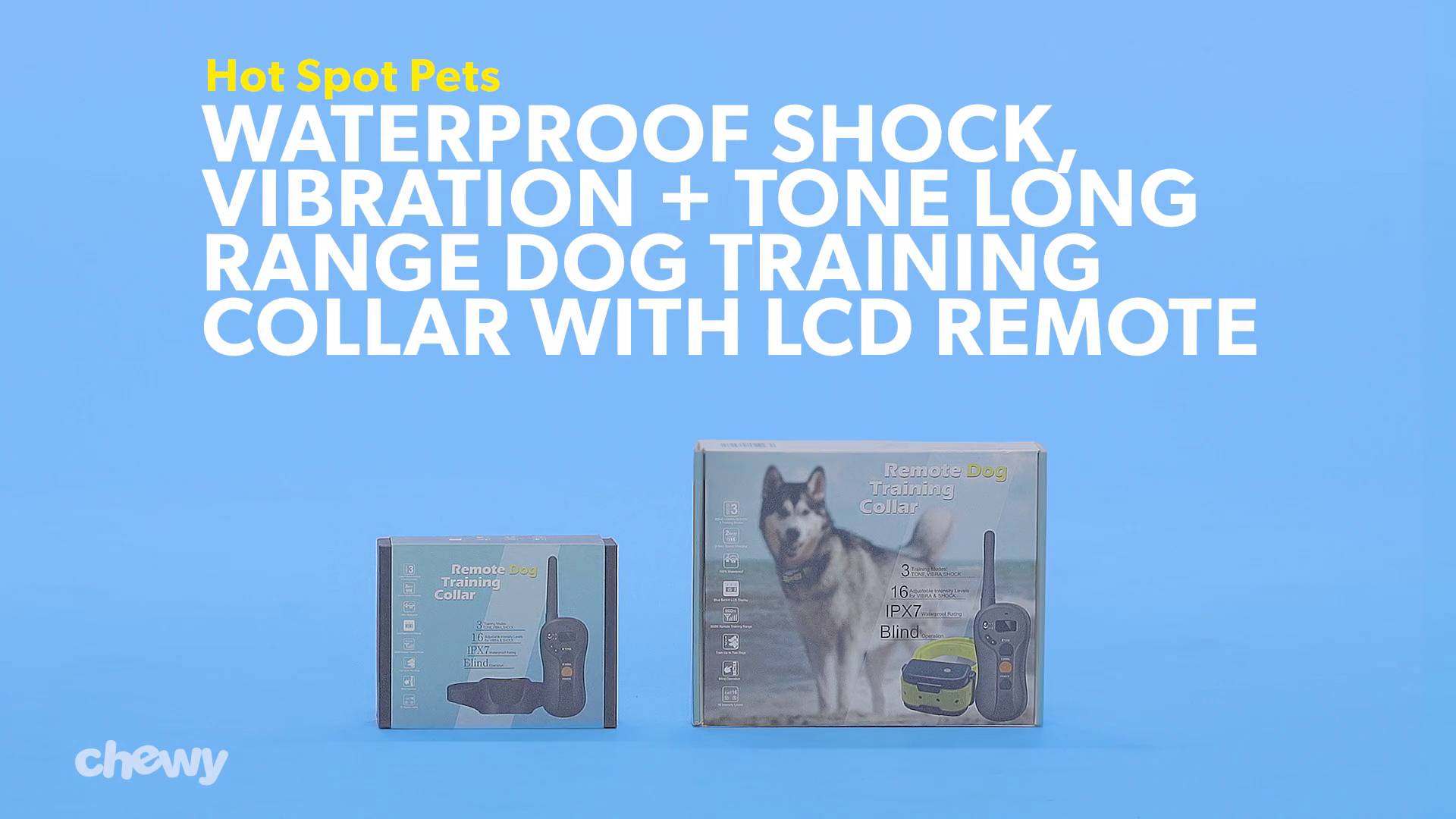 chewy training collar