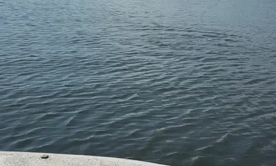 Hard working captain 