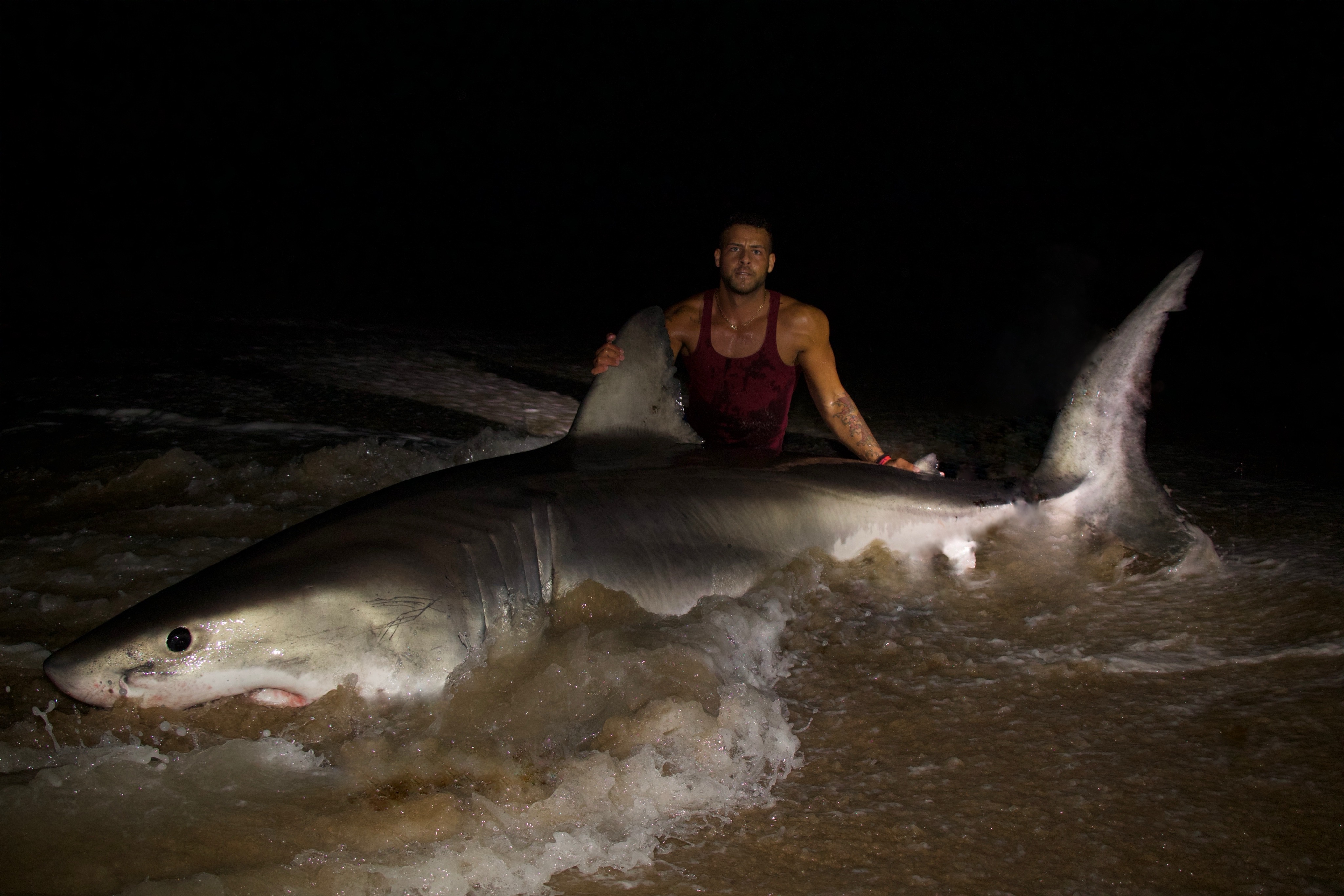 Business Card: Land Based Shark Fishing LISHARKMAN