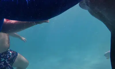 Island Hopper Boat ride was the Best!!!