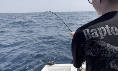 Redsnapper Maxing