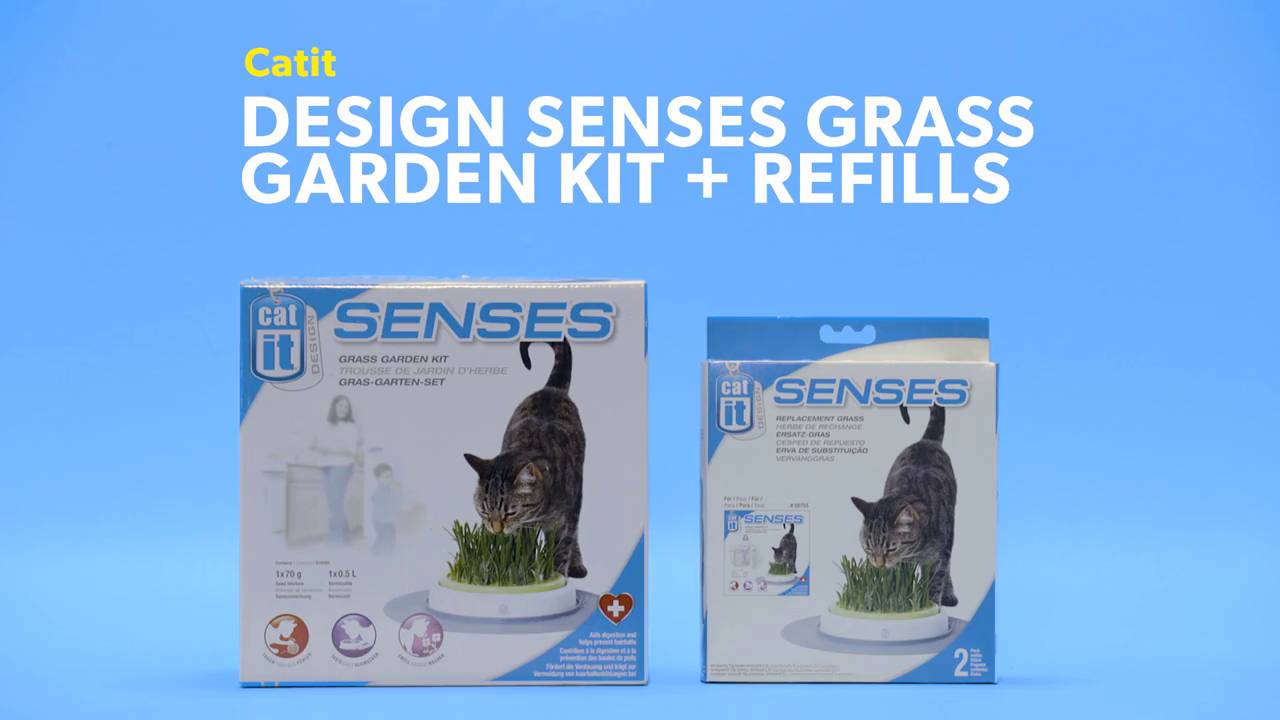 Catit Grass Cat Garden Kit grass included 