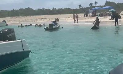Amazing 