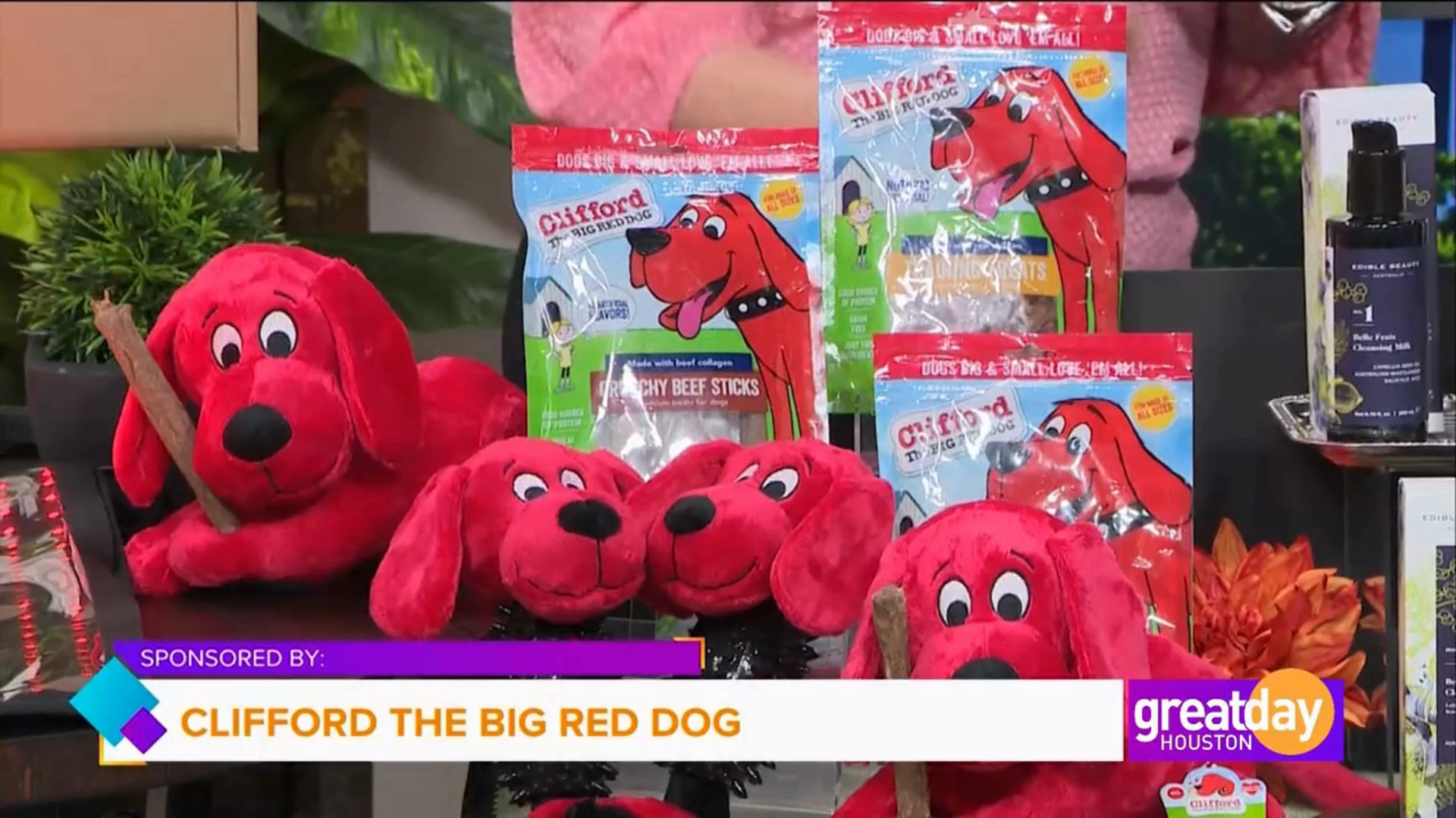 CLIFFORD The Big Red House Puzzle Hide n' Seek 7.9-in Plush Dog
