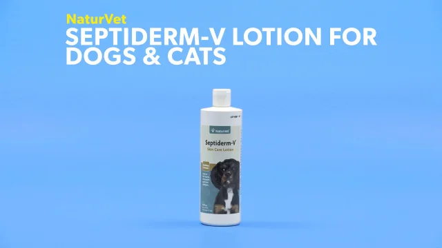 can you use regular lotion on dogs