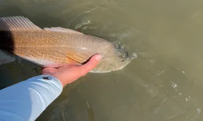 July fishing trip