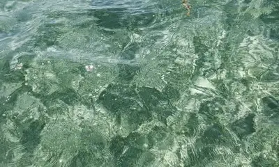 Homestead Base Report Video 1