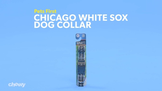 Play Video: Learn More About Pets First From Our Team of Experts