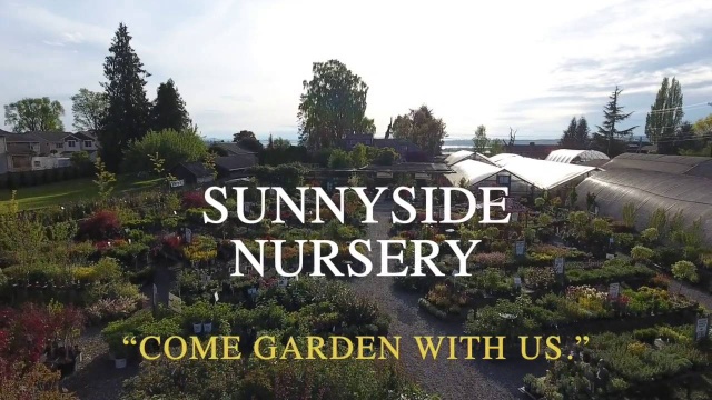 Holidays — Sunnyside Nursery