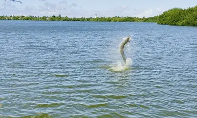 San Juan Report Video 0