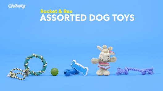 Play Video: Learn More About Rocket & Rex From Our Team of Experts