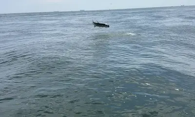 Jacksonville Report Video 1