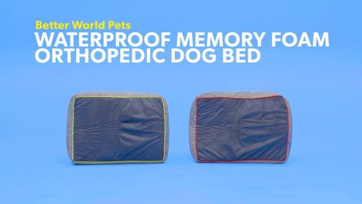Play Video: Learn More About Better World Pets From Our Team of Experts