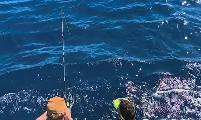 Tavira Report Video 0