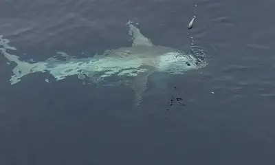 North Myrtle Beach Report Video 0