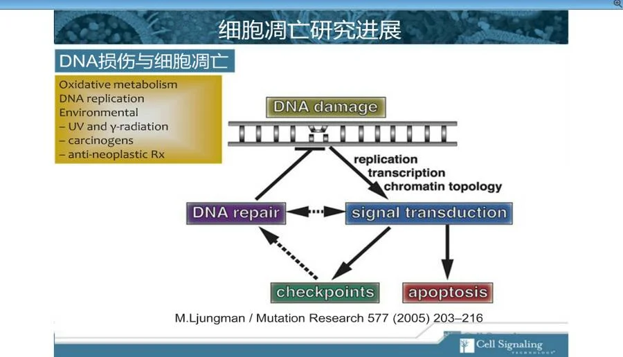同胞一和＊差別源流論＊同和文献保存会＊52000円1998年3月初版 DX年鑑 1980年版＜月刊短波 別冊＞ 日本BCL連盟刊