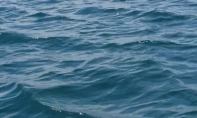 Panama City Report Video 0