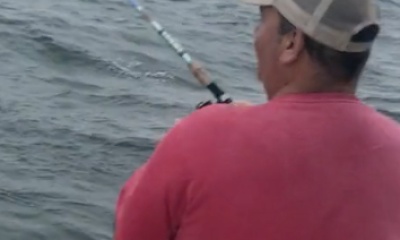 Martha's Vineyard Report Video 2