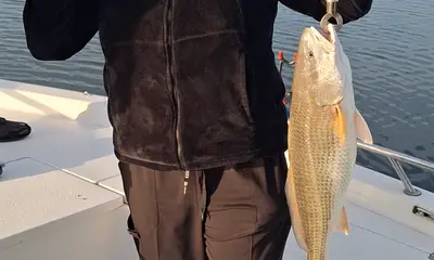 San Antonio Verslag Video 0