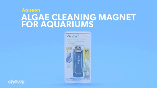 AQUEON Algae Cleaning Magnet for Aquariums, Small 