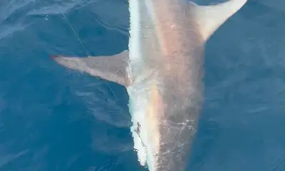 Paquera Report Video 1