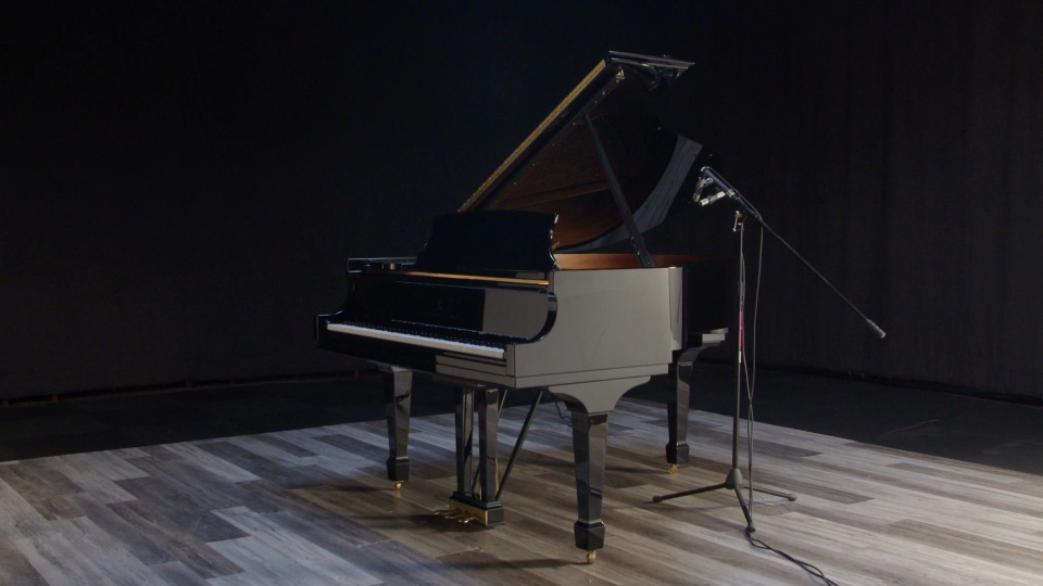 2018 Steinway Grand M Spirio