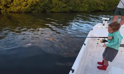 Tampa Report Video 1