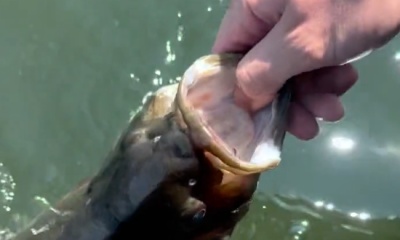 Great fishing