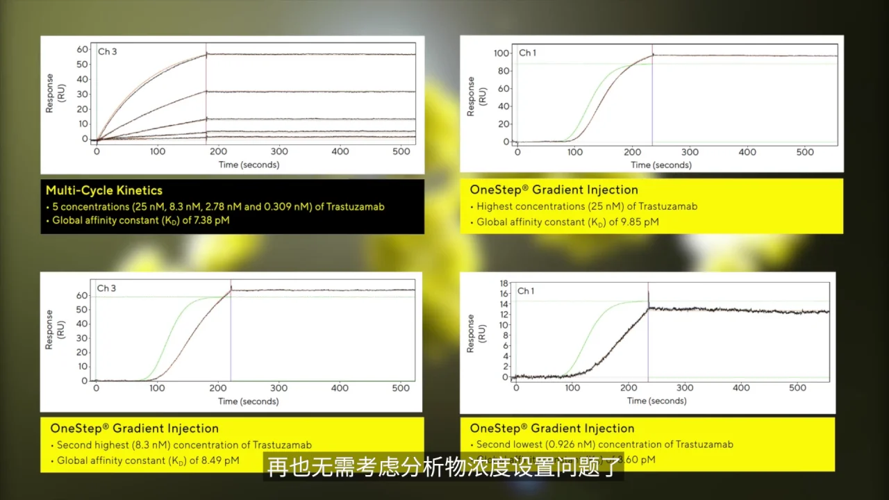 Octet SF3 SPR System_CN