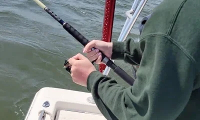 Port Orange Report Video 0