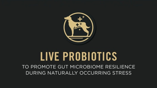 Purina Pro Plan Specialized Shredded Blend Beef & Rice Formula High Protein Small Breed Dry Dog Food