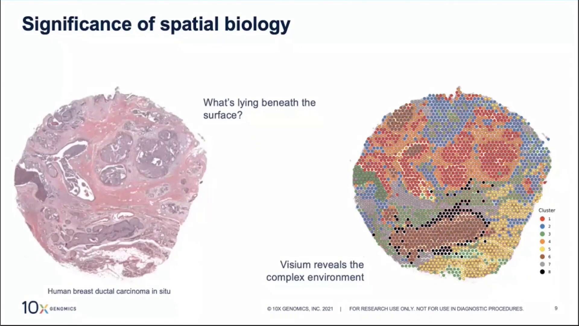 Learn more about Visium Spatial Gene Expression