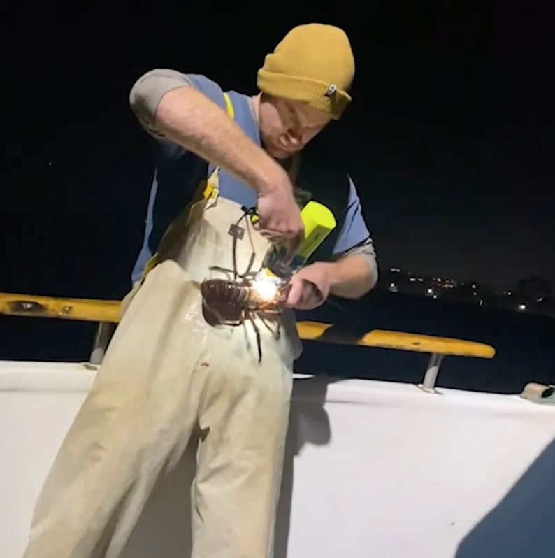 Business Card: Dana Wharf Sportfishing – Reel Fun