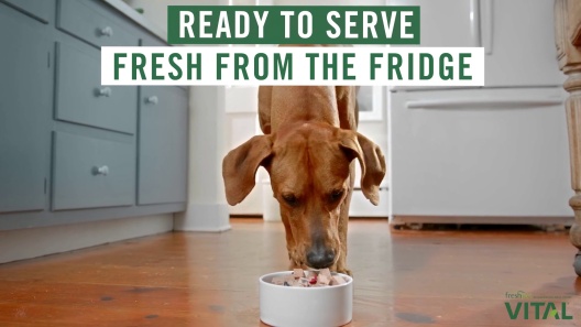 Freshpet® Vital™ Fresh Cuts All Life Stage Dog Food - Chicken