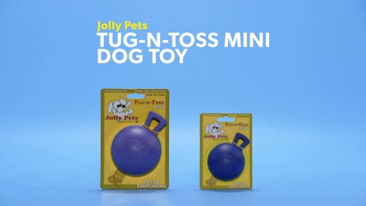 Play Video: Learn More About Jolly Pets From Our Team of Experts