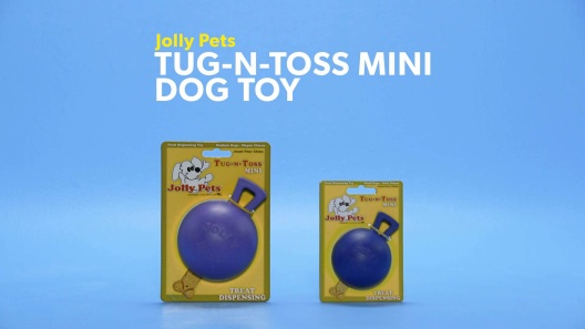 Jolly Pets Tug-n-Toss Mini Dog Toy, Purple, 4-in