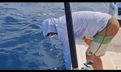 Los Sueños Report Video 0