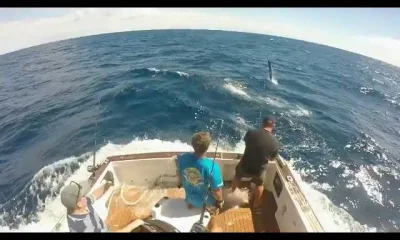 Sydney Bericht Video 0