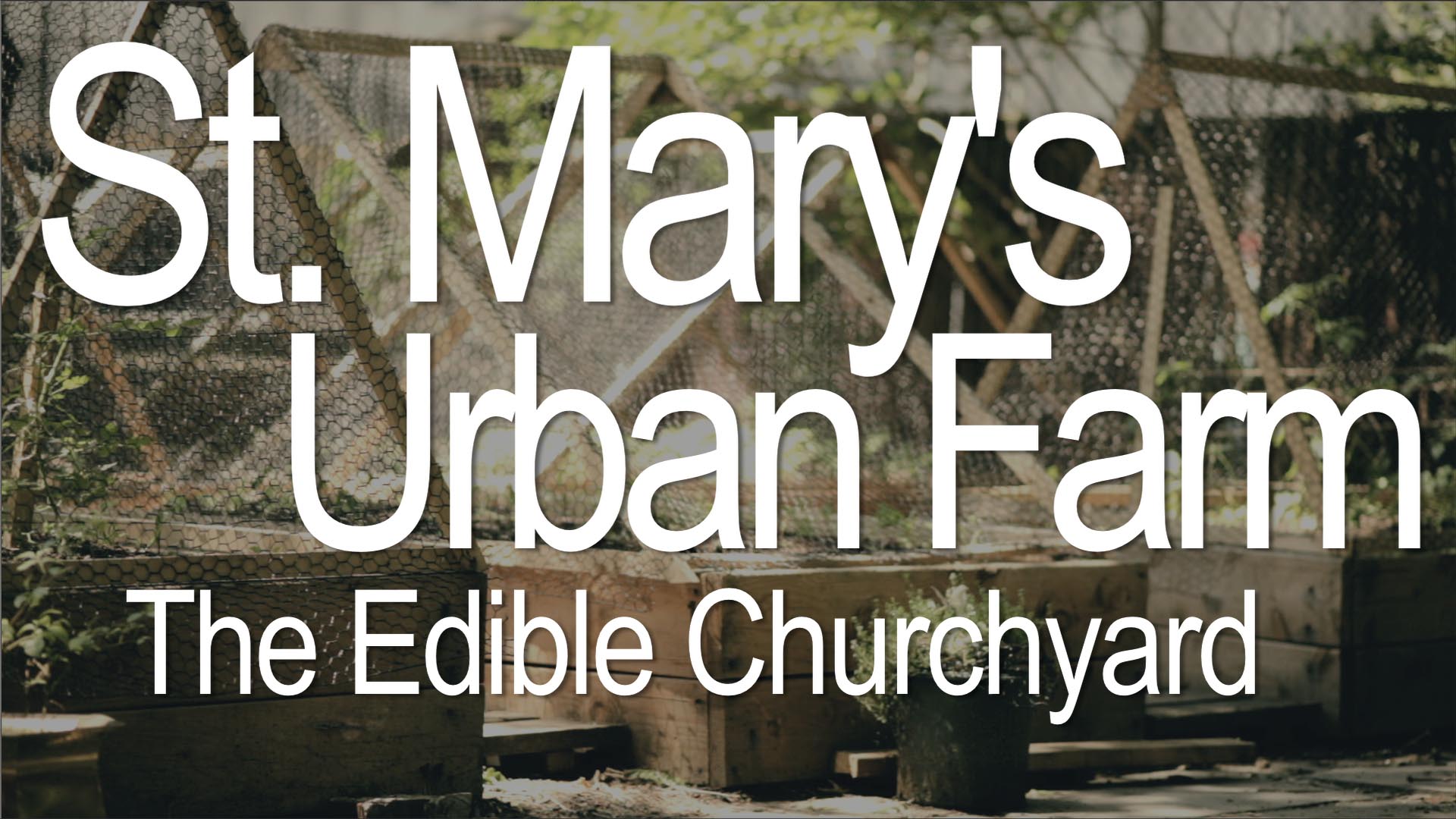 St. Mary's Urban Farm - Claire West, the edible churchyard