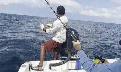 Landed a 5 ft Blue Marlin
