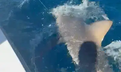 Great  crew on Coyote Tres!