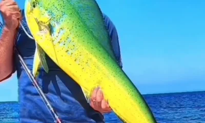 San Diego Report Video 0