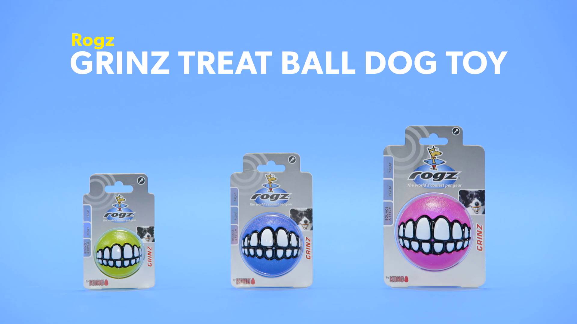 Orange Medium Rogz Fun Dog Treat Ball in various sizes and colors 