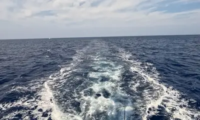 Kailua-Kona Report Video 0