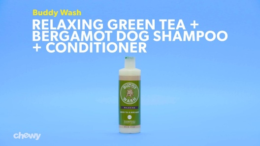 Cloud Star Green Tea & Bergamot Buddy Wash - 16 oz bottle