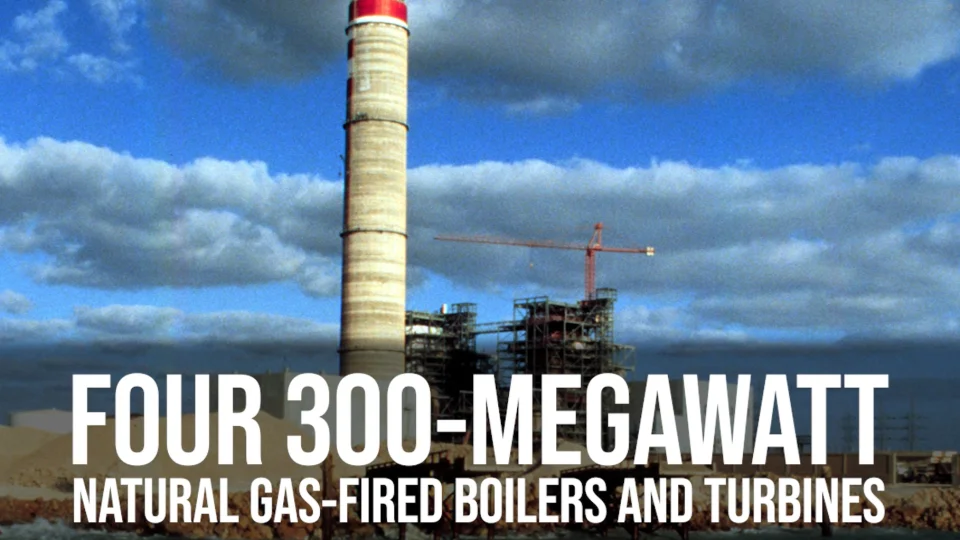 High-Efficiency Gas Burners for South Korea Factories: Boost Productivity